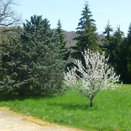 Dom wakacyjny Ancienne Dependance Pierre Et Bois Alan