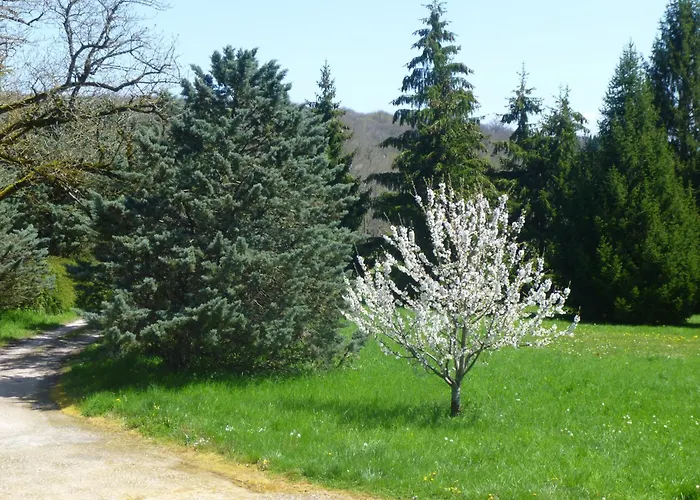 Сasa de vacaciones Ancienne Dépendance Pierre Et Bois Alan
